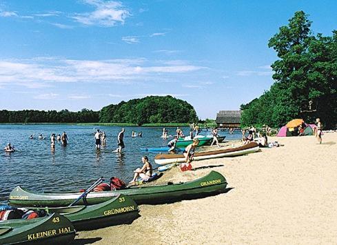 Gruppenbungalow-Waldhaus-Am Ferienpark Mirow Luaran gambar